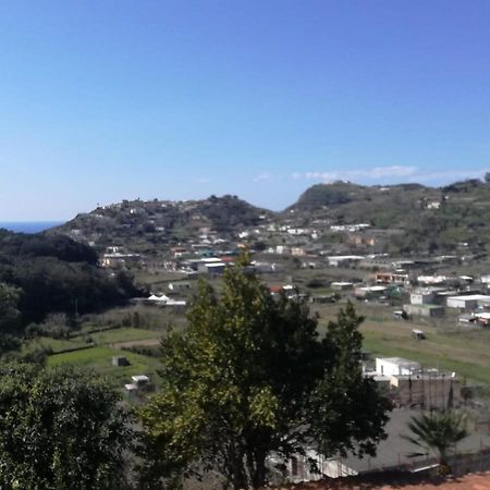 Tramonto Foriano Villa Forio di Ischia Exterior foto